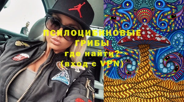 МДПВ Зерноград
