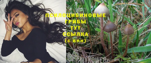 прущие крисы Иннополис