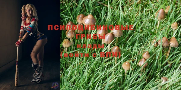 spice Зеленодольск
