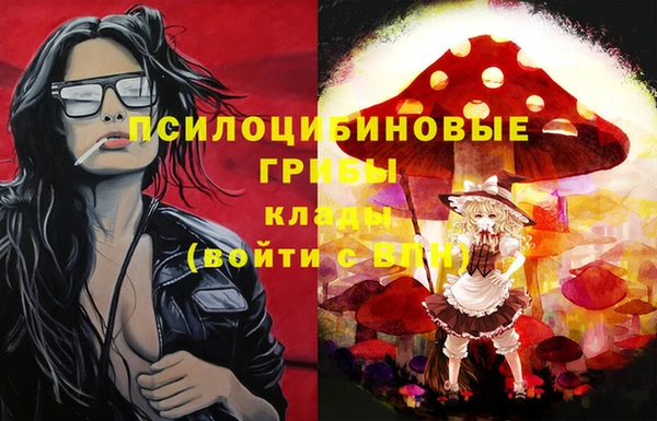 мет Инсар