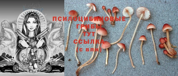 apvp Зеленокумск