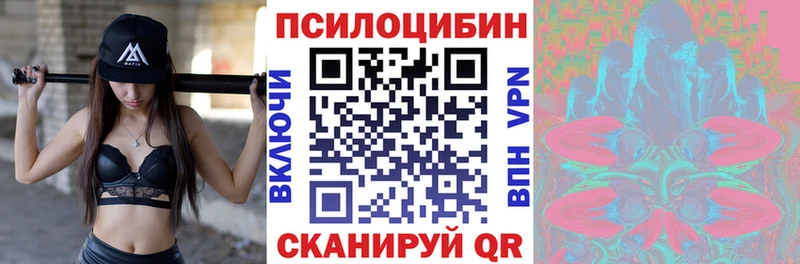 Купить где  Губаха  Галлюциногенные грибы прущие грибы 